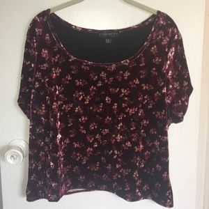 Maroon velvet floral print cropped t shirt
